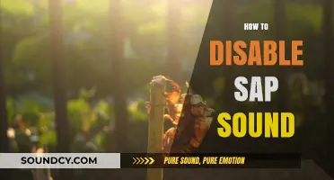 Quick Guide: Disabling SAP Sound on Your System Easily