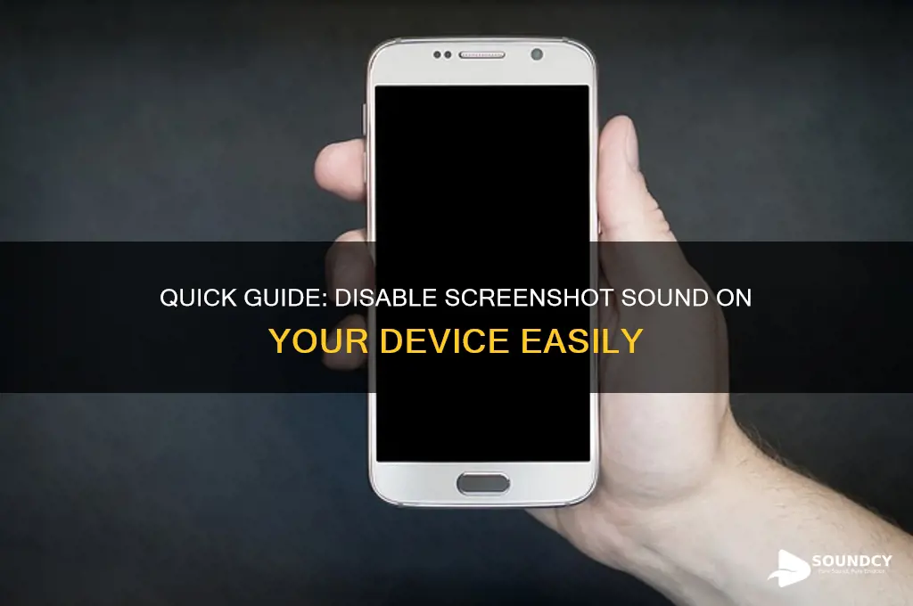 how to disable screenshot sound