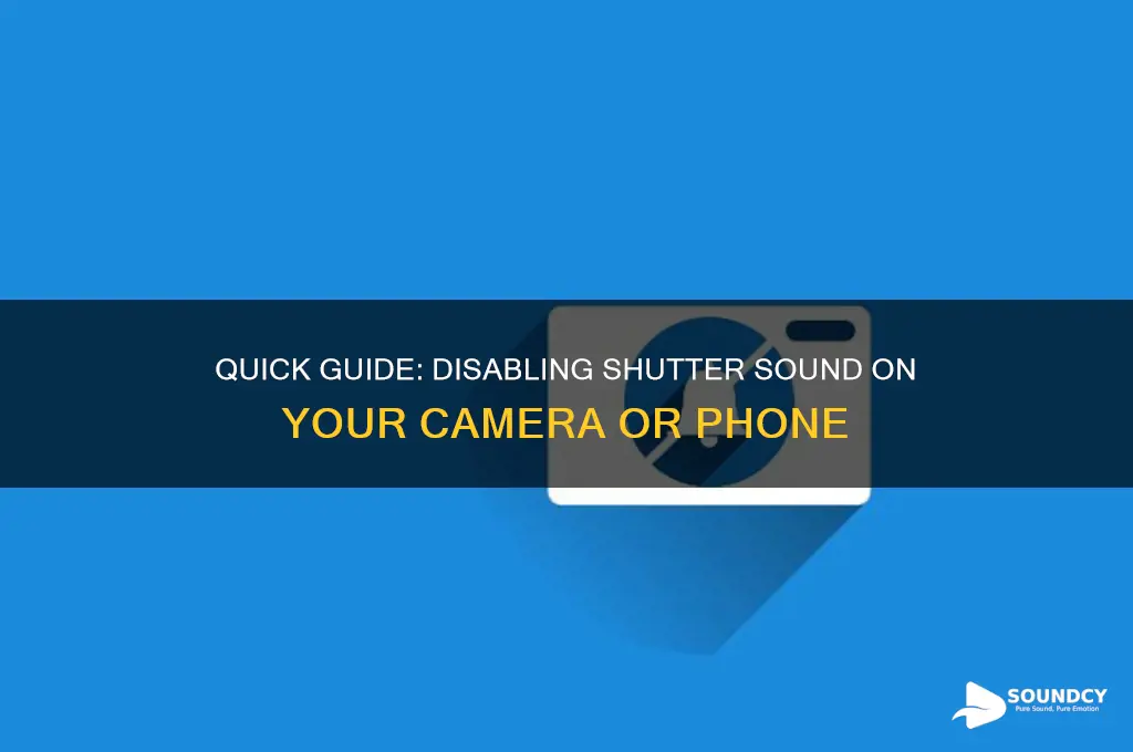 how to disable shutter sound