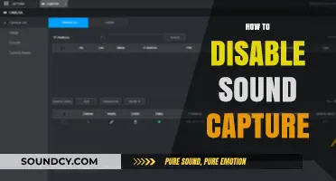 Effective Methods to Disable Sound Capture on Your Device