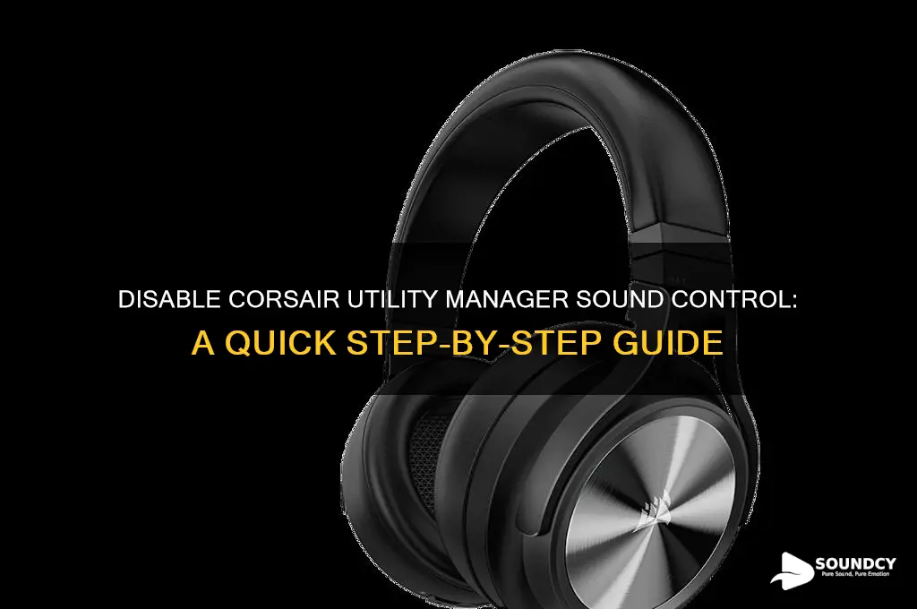 how to disable sound control on corsair utility manager