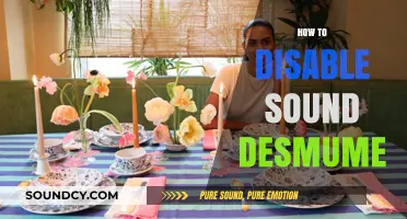How to Disable Sound in DeSmuME: A Quick Guide