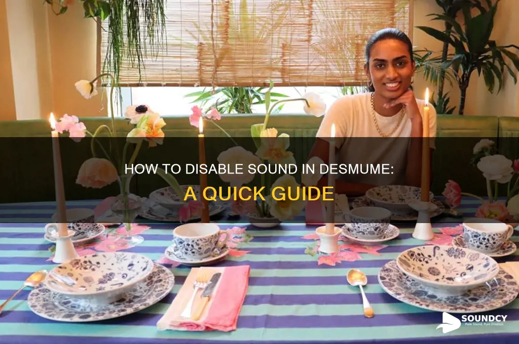 how to disable sound desmume