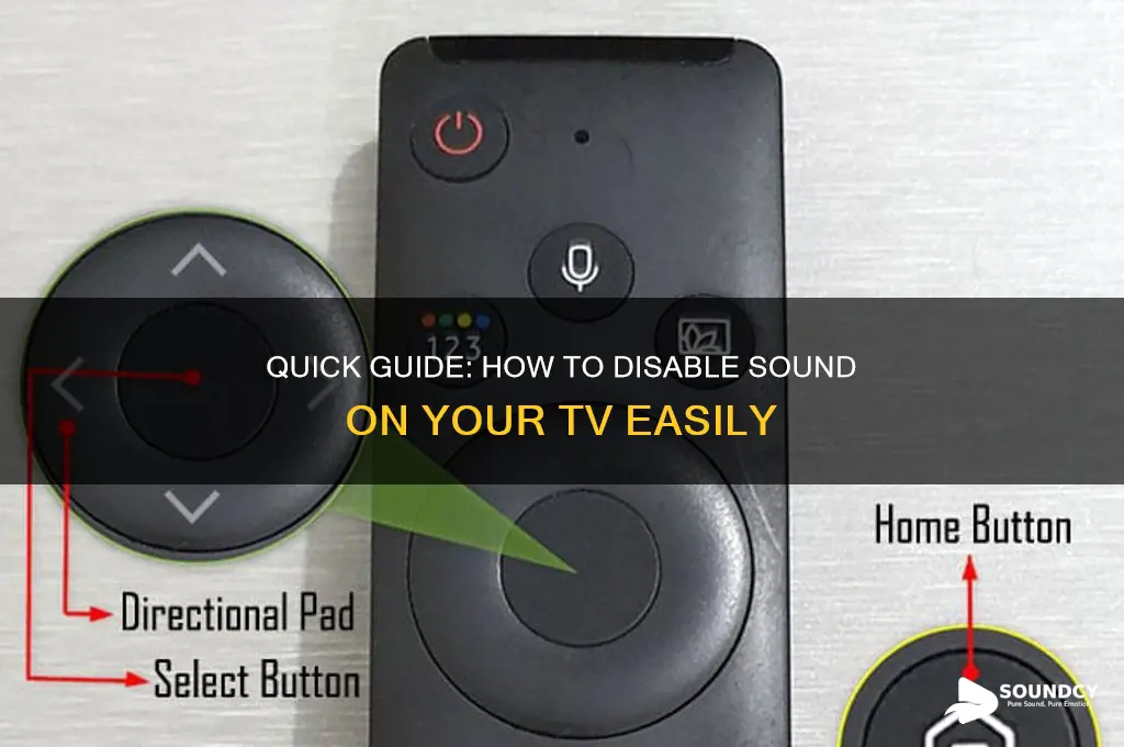 how to disable sound tv