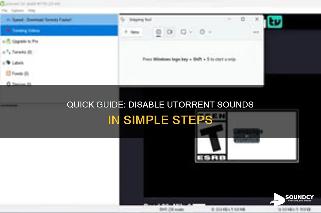 how to disable sound utorrent
