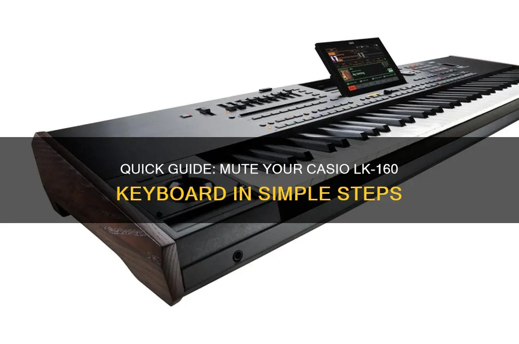 how to disable the sound on casio lk-160