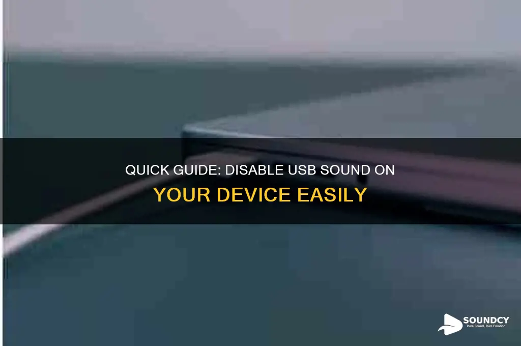 how to disable usb sound