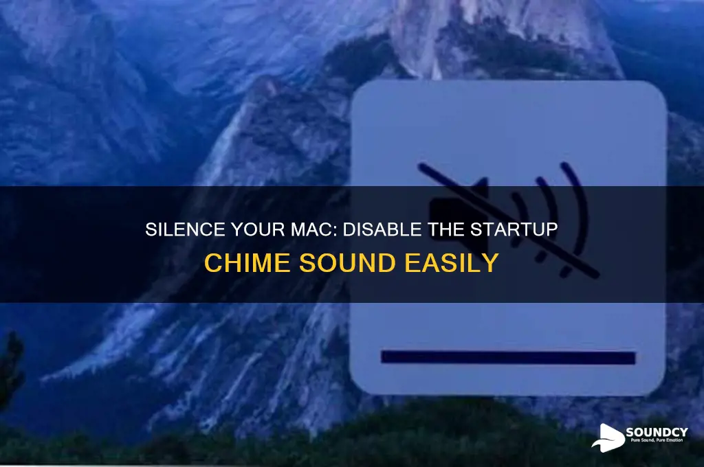how to disable your macs dong sound at startup