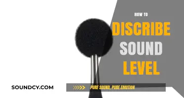 Understanding Sound Levels: A Comprehensive Guide to Accurate Description