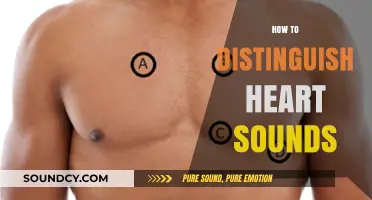 Mastering Heart Sounds: A Guide to Accurate Auscultation and Diagnosis