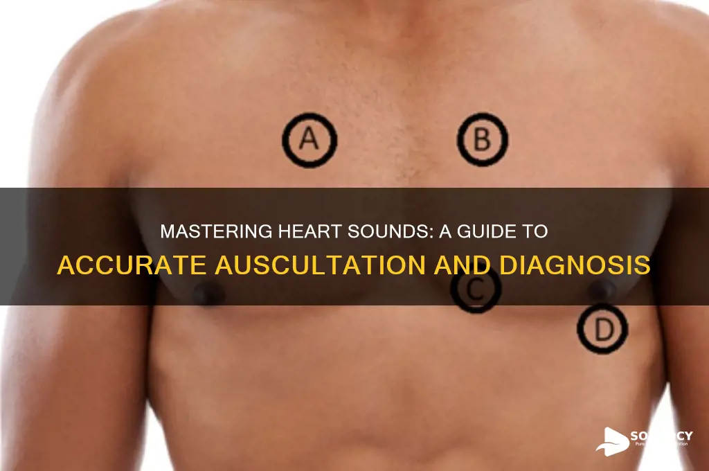 how to distinguish heart sounds