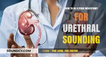 Urethral Sounding Guide: Performing a Penis Meatotomy Safely and Effectively