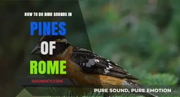 Mastering Bird Sounds in Pines of Rome: A Step-by-Step Guide