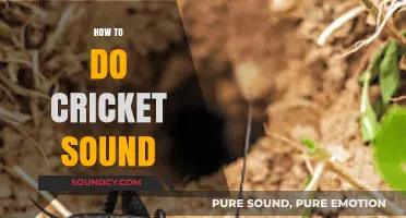 Master the Art of Creating Realistic Cricket Sounds Easily