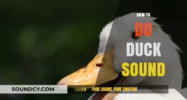 Master the Art of Quacking: A Guide to Perfect Duck Sounds
