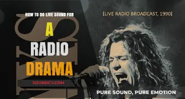 Mastering Live Sound Techniques for Engaging Radio Drama Productions