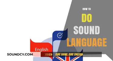 Mastering Sound Language: Techniques for Effective Communication and Expression