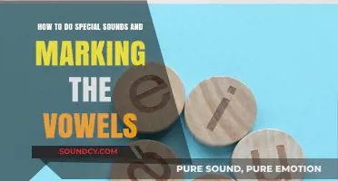 Mastering Special Sounds: Techniques for Marking and Pronouncing Vowels Clearly