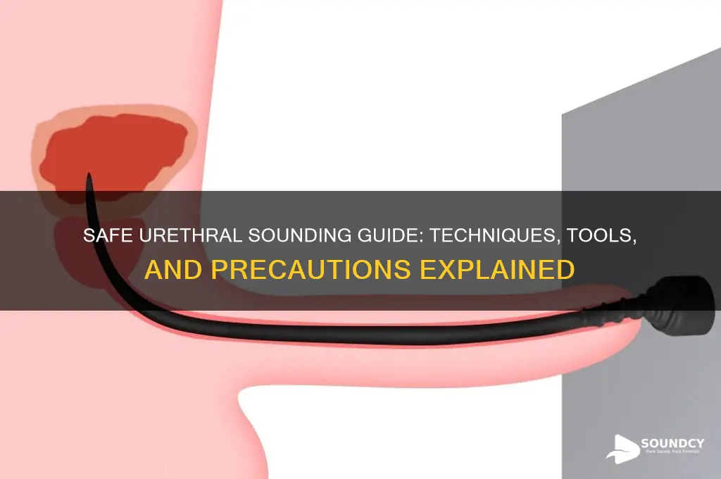 how to do urethra sounding