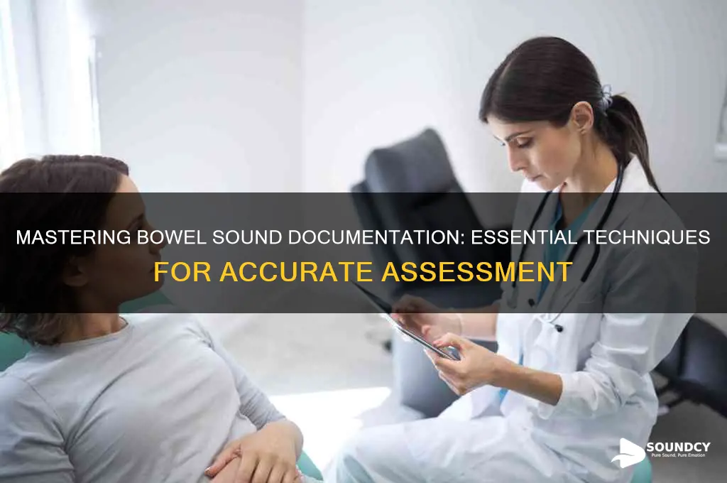 how to document bowel sounds
