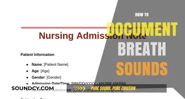 Mastering Breath Sound Documentation: A Comprehensive Guide for Healthcare Professionals