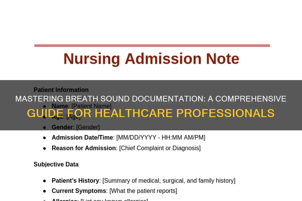 how to document breath sounds