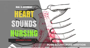 Documenting Heart Sounds: A Guide for Nurses