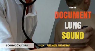Mastering Lung Sound Documentation: Essential Techniques for Accurate Auscultation