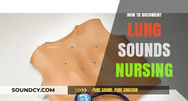 Documenting Lung Sounds: A Guide for Nurses