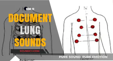 Mastering Lung Sound Documentation: Essential Techniques for Accurate Auscultation