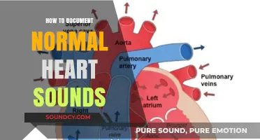 Documenting Normal Heart Sounds: A Step-by-Step Guide