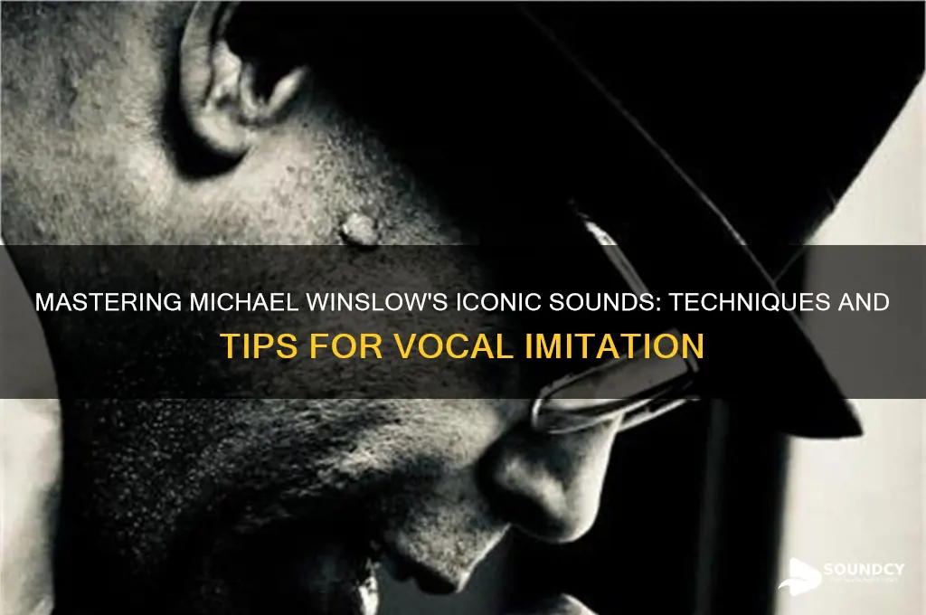 how to domichael winslow sounds