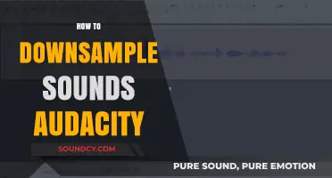 Master Downsampling Sounds in Audacity: A Step-by-Step Guide