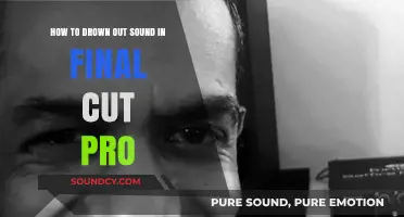 Mastering Audio Editing: Drown Out Unwanted Sound in Final Cut Pro