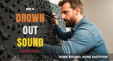 Effective Ways to Block Unwanted Noise and Create a Quieter Environment