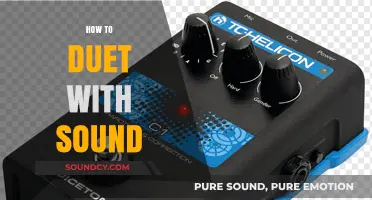 Mastering the Art of Sound Duets: Tips for Perfect Harmony