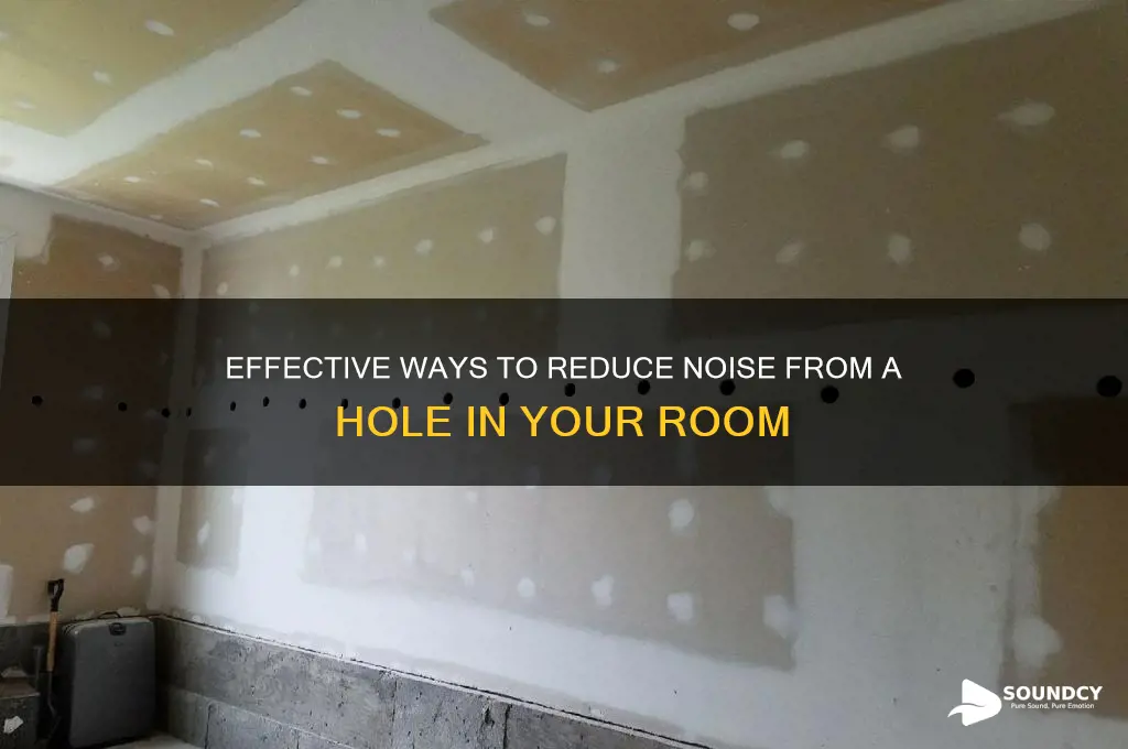 how to dull sound from a hole in room