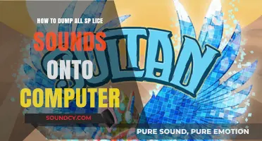 Dumping Splice Sounds to Your Computer: A Step-by-Step Guide