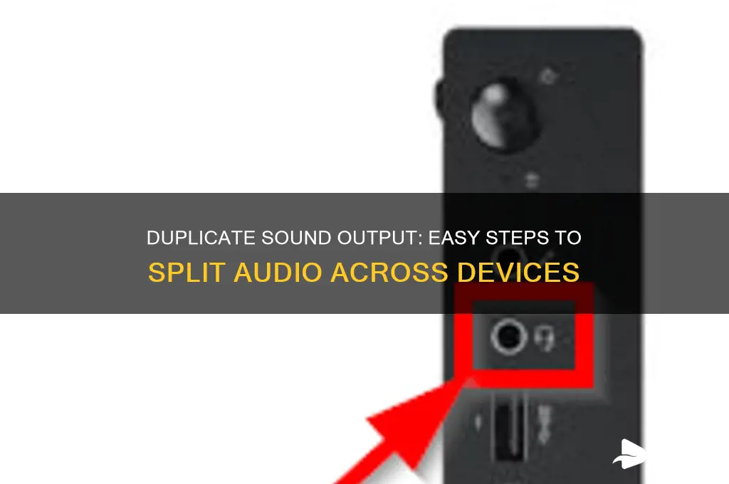 how to duplicate sound output