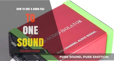 Mastering Audio Editing: How to Isolate a Single Sound in Your File