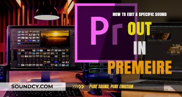 Mastering Audio Editing: Removing Specific Sounds in Premiere Pro
