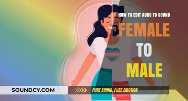 Transforming Audio: Techniques to Change Female Voice to Male