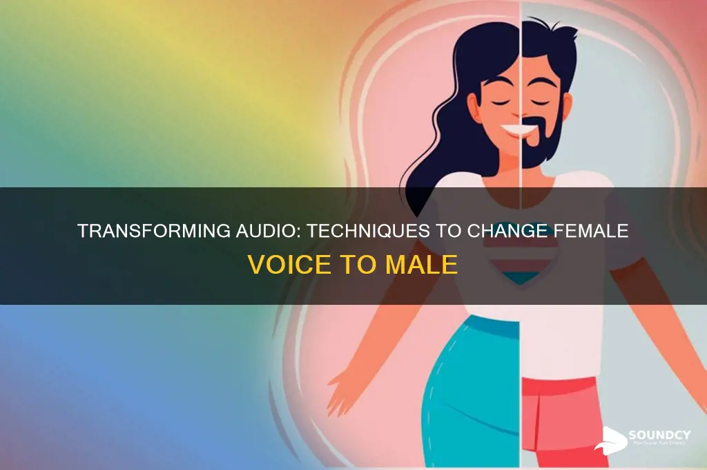 how to edit audo to sound female to male