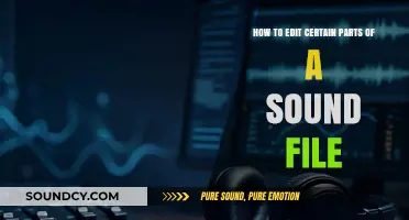 Mastering Audio Editing: Techniques to Modify Specific Sound File Sections