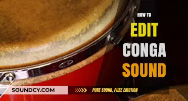 Mastering Conga Sound Editing: Essential Techniques for Perfect Rhythm Tracks