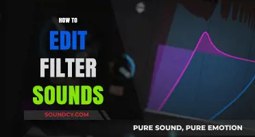 Mastering Audio Editing: A Guide to Enhancing Filtered Sounds