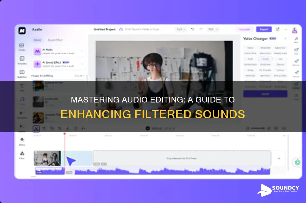 how to edit filter sounds