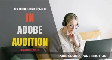 Mastering Audio Editing: Adjust Sound Length in Adobe Audition
