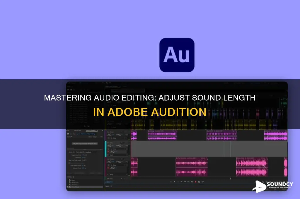 how to edit length of sound in adobe audition