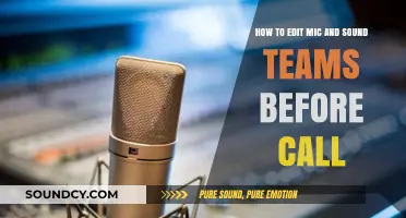 Mastering Pre-Call Audio: Tips to Edit Mic and Sound Settings